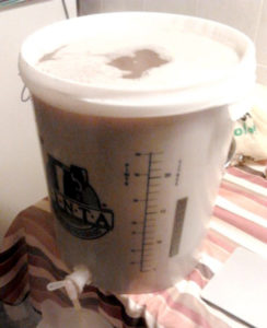 FermentatoreAldo