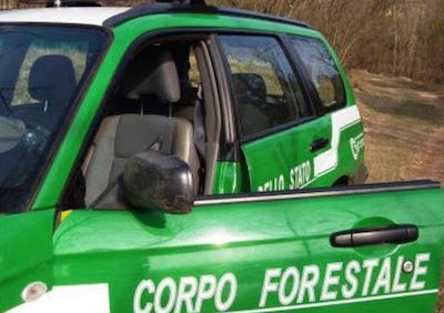 forestale