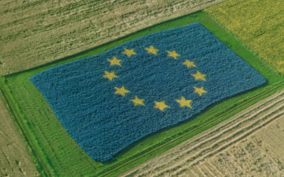 Mozione in Regione Lombardia: «La birra sia considerata “prodotto agricolo”»