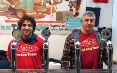 Un’altra acquisizione: Heineken si prende il Birrificio Hibu