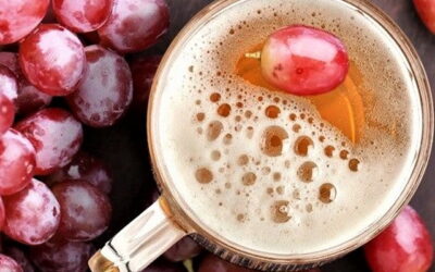 Birra e uva: arriva il primo concorso internazionale dedicato alle Italian Grape Ale (IGA)