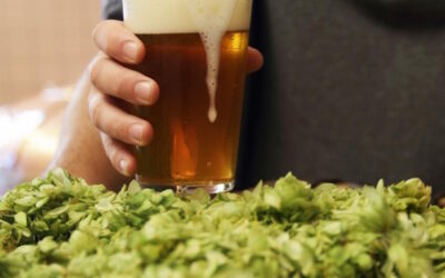 Birrificio Italiano e 50&50 sul trono delle birre con luppolo fresco