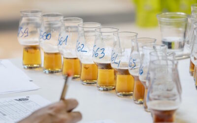 Birra dell’Anno, inizia la rincorsa ai titoli 2026