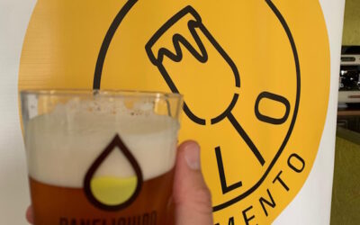 I consigli di Malto Gradimento: 12 birre da non perdere al Varese Beer Festival